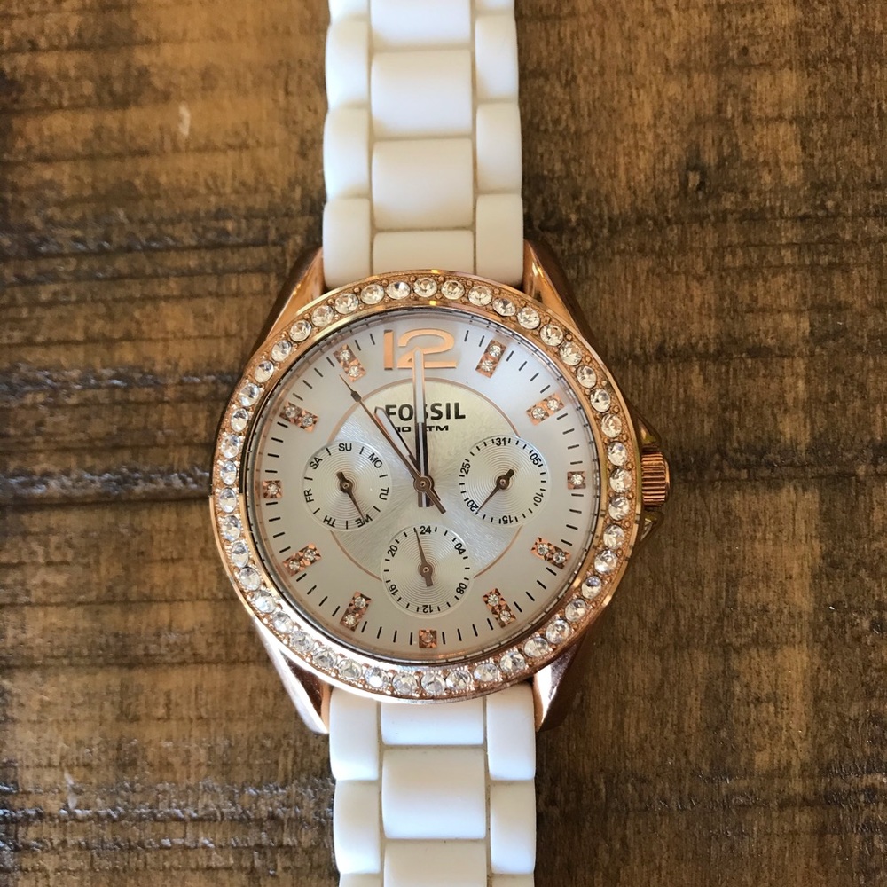 EUC Fossil Watch